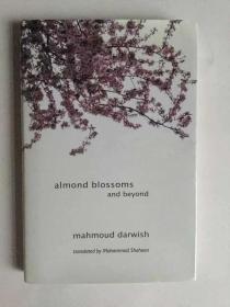 巴勒斯坦诗人穆罕默德·达尔维什诗选：Almond Blossoms and Beyond