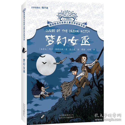 梦幻女巫/摆渡船当代世界儿童文学金奖书系