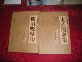 图说武当嫡派功夫真传 功家秘法宝藏（卷三·轻盈气功）：太乙履水功（16开）-