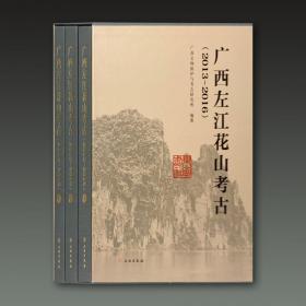 广西左江花山考古（16开精装 全三册）