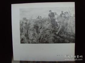 12开宣传画 《沃土》赵晓沫 绘；《大地的主人》王向群、杨宝元