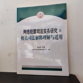 网络犯罪司法实务研究及相关司法解释理解与适用