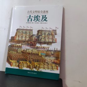 古代文明惊奇透视：古埃及