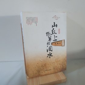 跨度长篇小说文库：山丘上野草的泪水 9787503456121