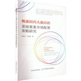 畅通国内大循环的基础要素市场配置策略研究