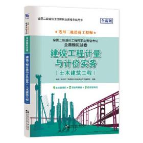 建设工程计量与计价实务(土木建筑工程) 全新版