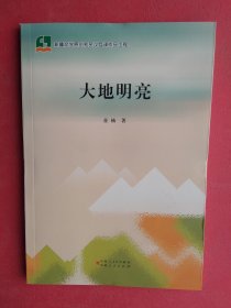 大地明亮：王亚楠诗集