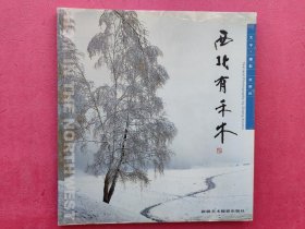 西北有禾木 : 汉、英（签名本）【内容简介： 本书为画册，以图文并茂的形式重点介绍布尔津县禾木镇的不同季节、风俗人情、地貌等概况，内容丰富，具有一定的欣赏价值。】