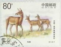 念椿萱 邮票1999年1999- 5 马鹿 2-2 马鹿 80分信销票