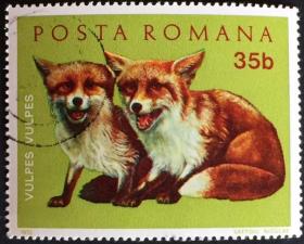 念椿萱 外国邮票 罗马尼亚盖销邮票 0019