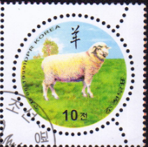 念椿萱 朝鲜邮票4233生肖羊年10元圆形盖销票