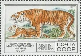 念椿萱 苏联邮票SU4685 1977年苏联保护动物8-8西伯利亚虎30戈比全新