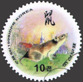 念椿萱 朝鲜邮票4226生肖鼠年10元圆形盖销票