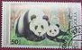 念椿萱 蒙古邮票2161 9084保护动物熊猫50图克里克盖销票
