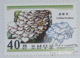念椿萱 外国邮票 朝鲜旧邮票 0314