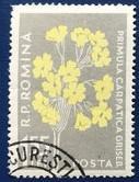 念椿萱 罗马尼亚邮票1653 1957年喀尔巴阡山花卉8-7 1.55L盖销票