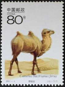 新念椿萱-编年邮票 01年 2001- 4   野生动物 10-7 野骆驼 1枚新