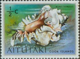 念椿萱 艾图塔基邮票0094海洋的软体动物大千手螺0.5分全新
