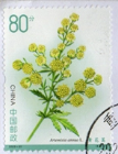 念椿萱 邮票2023年2023-20药用植物3 6-1黄花蒿80分信销票