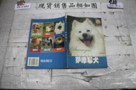 萨摩耶犬