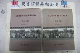 汉冶萍档案图集(单本销售)