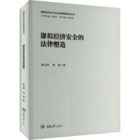 RT正版速发 虚拟济的法律塑造靳文辉重庆大学出版社9787568936941