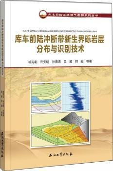 库车前陆冲断带新生界砾岩层分布与识别技术