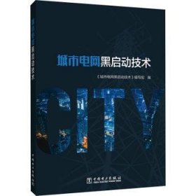 RT正版速发 城市电网黑启动技术《城市电网黑启动技术》写组中国电力出版社9787519877712