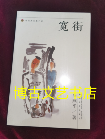 布老虎长篇小说系列：宽街