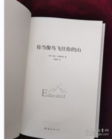 你当像鸟飞往你的山 精装本 没有书衣了  内页全新的