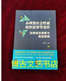 办理黑社会性质组织犯罪等案件法律规范理解与典型案例