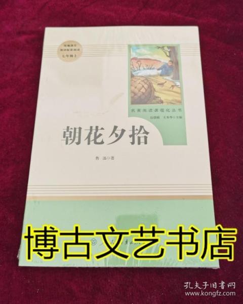 中小学新版教材（部编版）配套课外阅读 名著阅读课程化丛书 朝花夕拾 