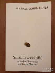 Small is Beautiful: A Study of Economics as if People Mattered