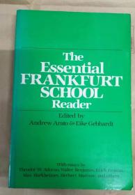 The Essential Frankfurt School Reader 【英文原版，品相佳】