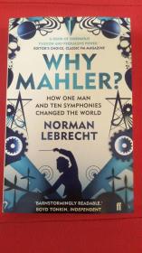 Why Mahler?