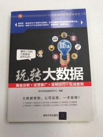 玩转大数据：商业分析＋运营推广＋营销技巧＋实战案例 玩转移动互联网营销系列