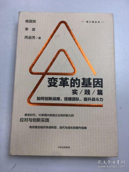 变革的基因：如何创新战略、搭建团队、提升战斗力（实践篇）