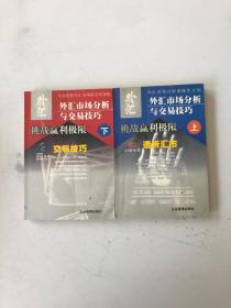 外匯市場分析與交易技巧：挑戰(zhàn)贏利極限、透析匯市（上下）