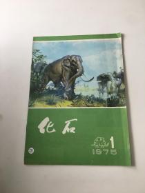 化石1975年1期