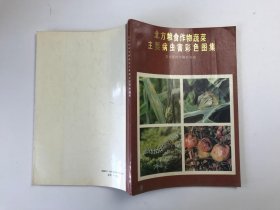 北方粮食作物蔬菜主要病虫害彩色图集