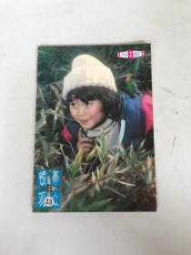 银幕与观众 1982年第6期