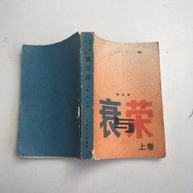 衰与荣 上卷