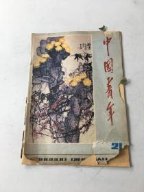 中国青年1981年第21期