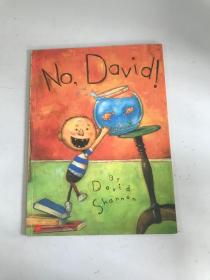 No, David! 英文书