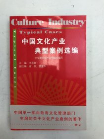 中国文化产业典型案例选编