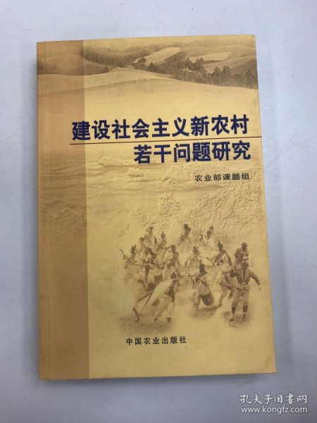 建设社会主义新农村若干问题研究