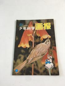 少年科学画报 1984年第8期