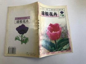 球根花卉（家庭花卉精品）