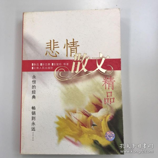 悲情散文精品