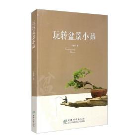 玩转盆景小品